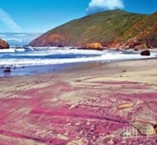 世界上独一无二的紫色沙滩 也是浪漫魅惑的宝石沙滩