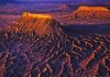 美国犹他州沙漠的罕见花海